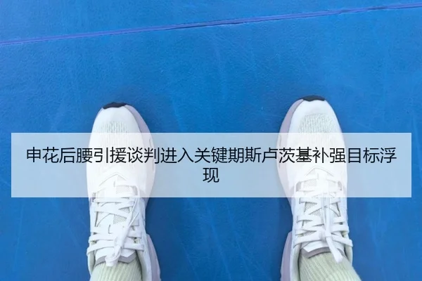 申花后腰引援谈判进入关键期斯卢茨基补强目标浮现
